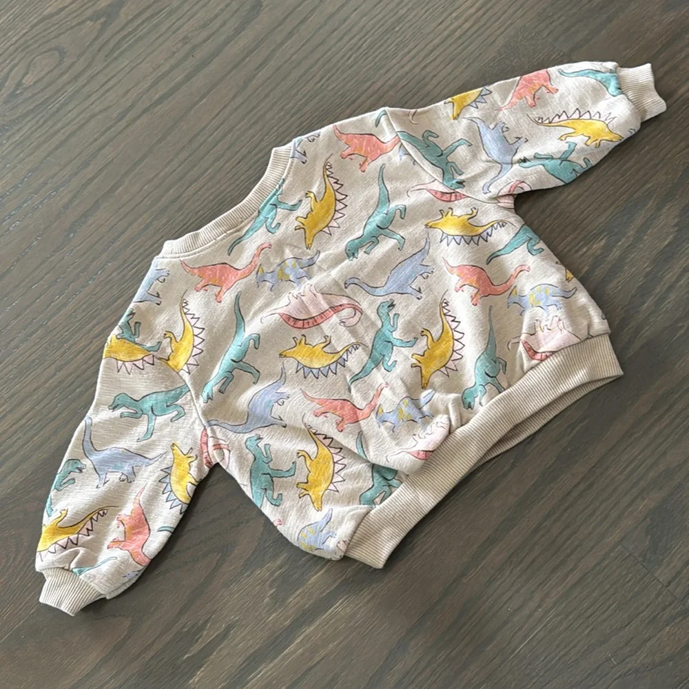 Old Navy Dino French Terry Pullover Sweatshirt | 6-12 M